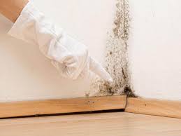 Best Emergency Mold Remediation in Skiato, OK